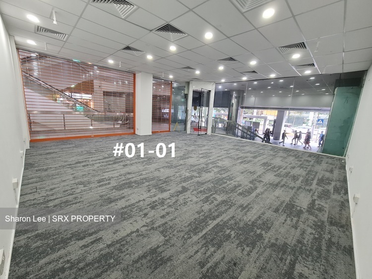 Midpoint Orchard (D9), Retail #441704051